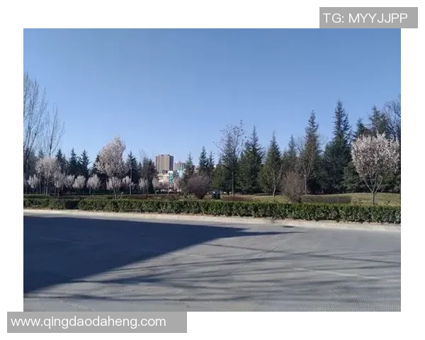 世界纪录保持者的非凡成就与背后故事：打破极限与超越自我的人生轨迹