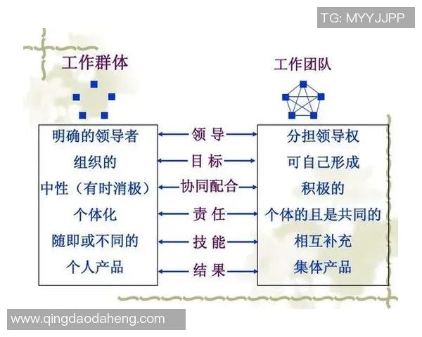 团队协作与创新驱动企业发展的有效策略与实践探讨