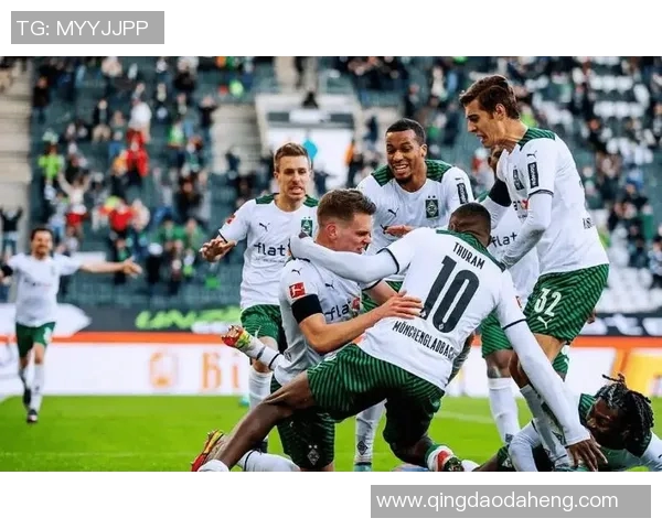 这支德甲球队：聚焦一支特定球队的赛季表现